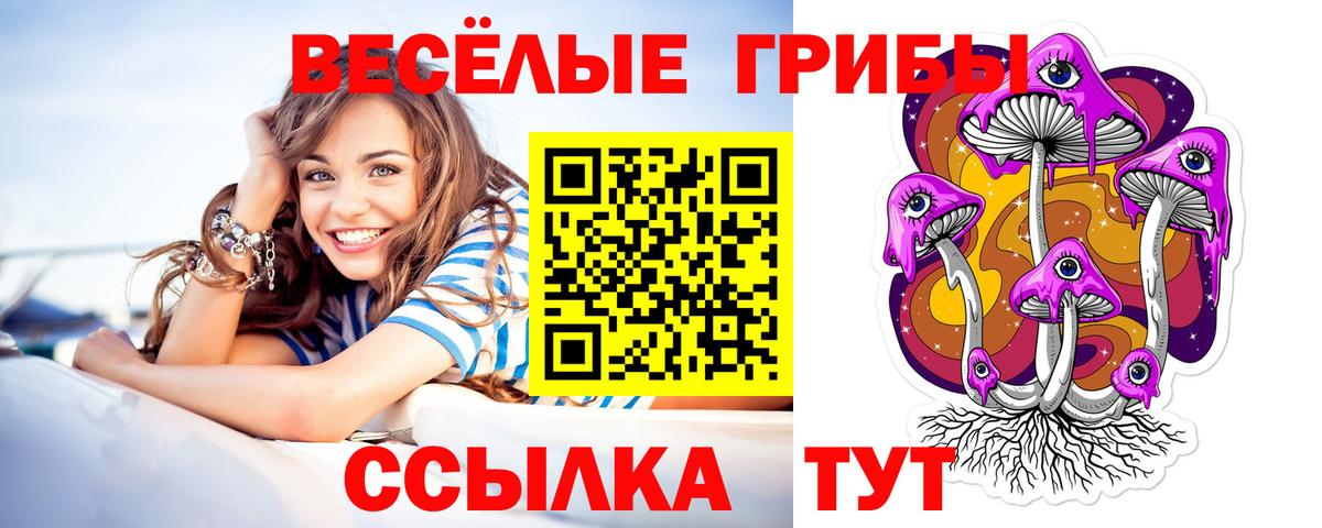 Галлюциногенные грибы Psilocybe  Вход с VPN  купить наркотик  Балашиха 